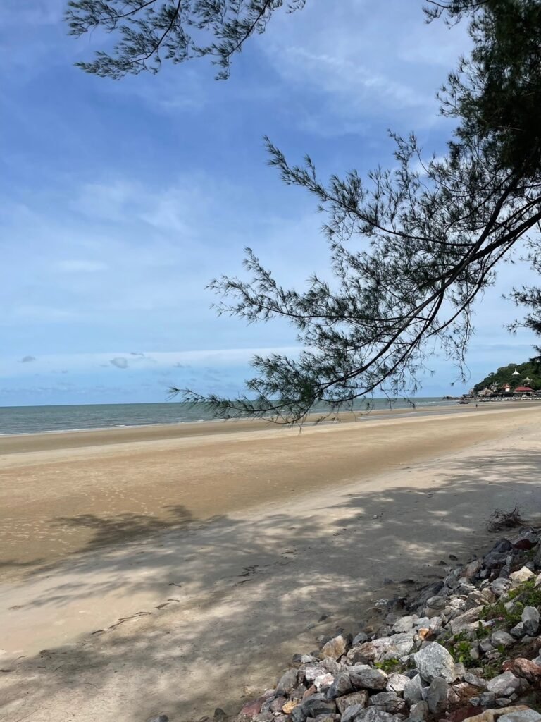 หาด,ทะเล,หาดเขาเต่า