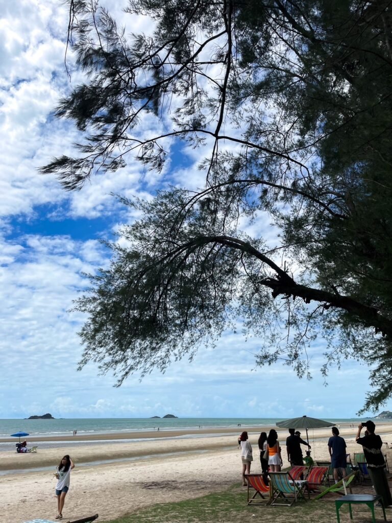 หาด,ชายหาดน่าเที่ยว,หาดสวนสน