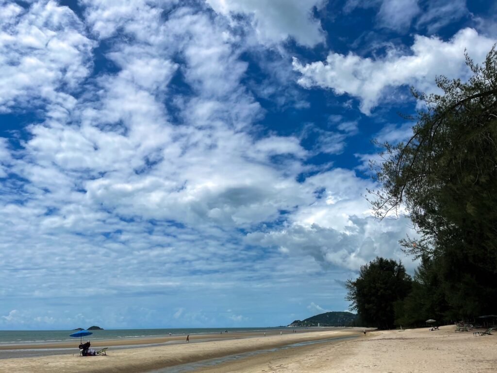 หาด,ชายหาดน่าเที่ยว,หาดสวนสน