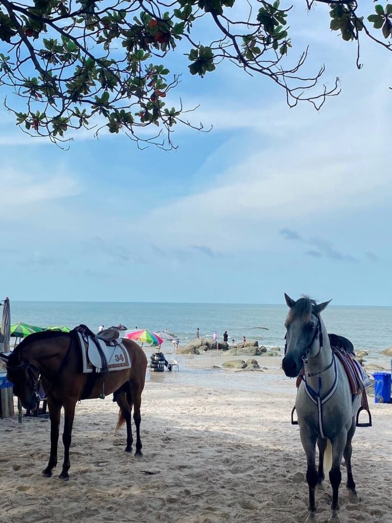 หาดทราย,ทะเล,หาดหัวหิน