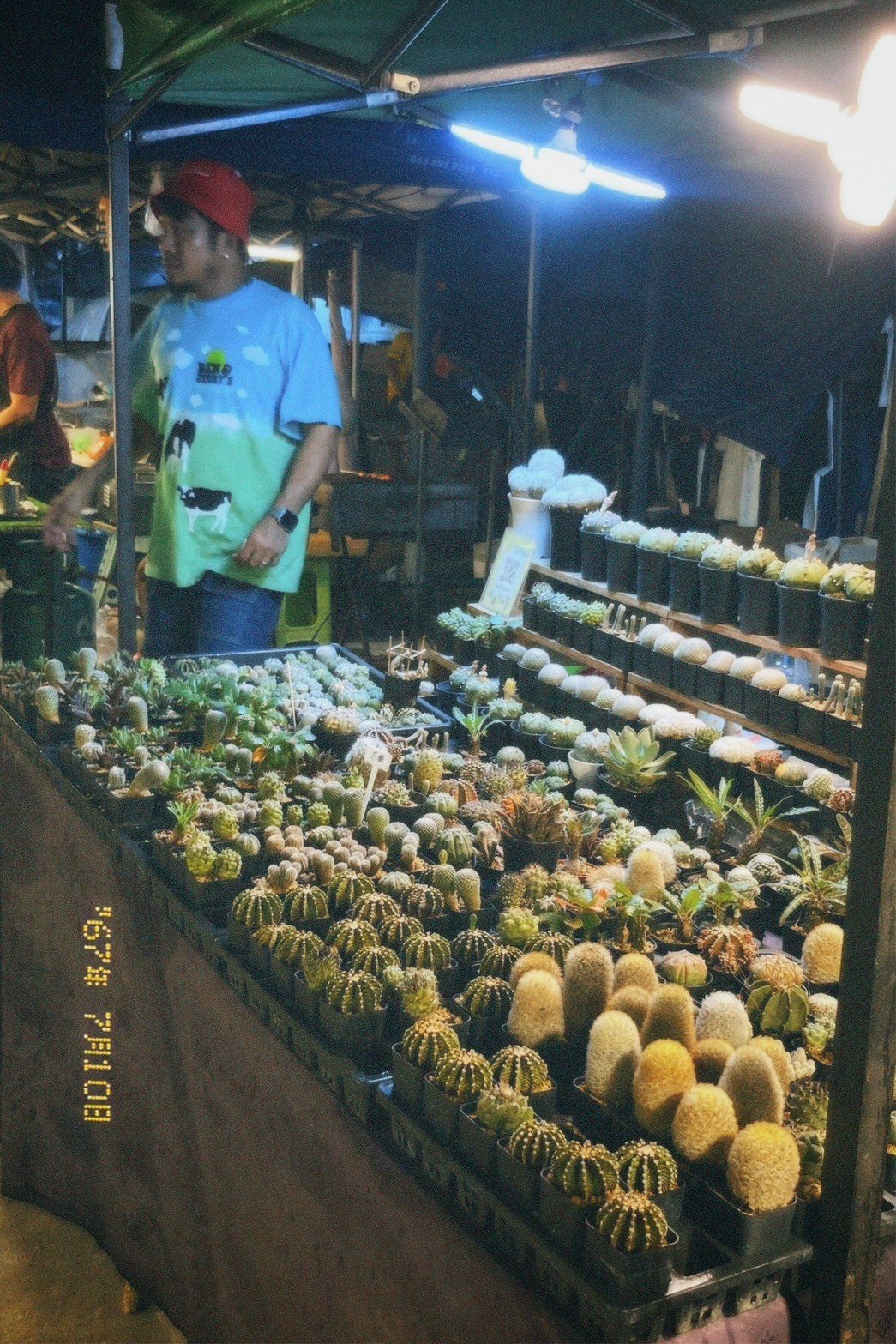 ตลาด,ของกิน,ตลาดแพไม้