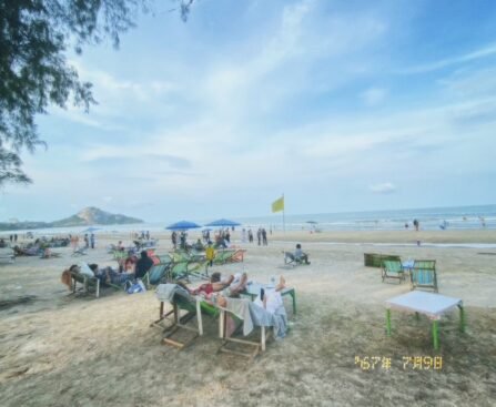 ชายหาด,ทะเล,สวนสนประดิพัทธ์ หรือสวนสน